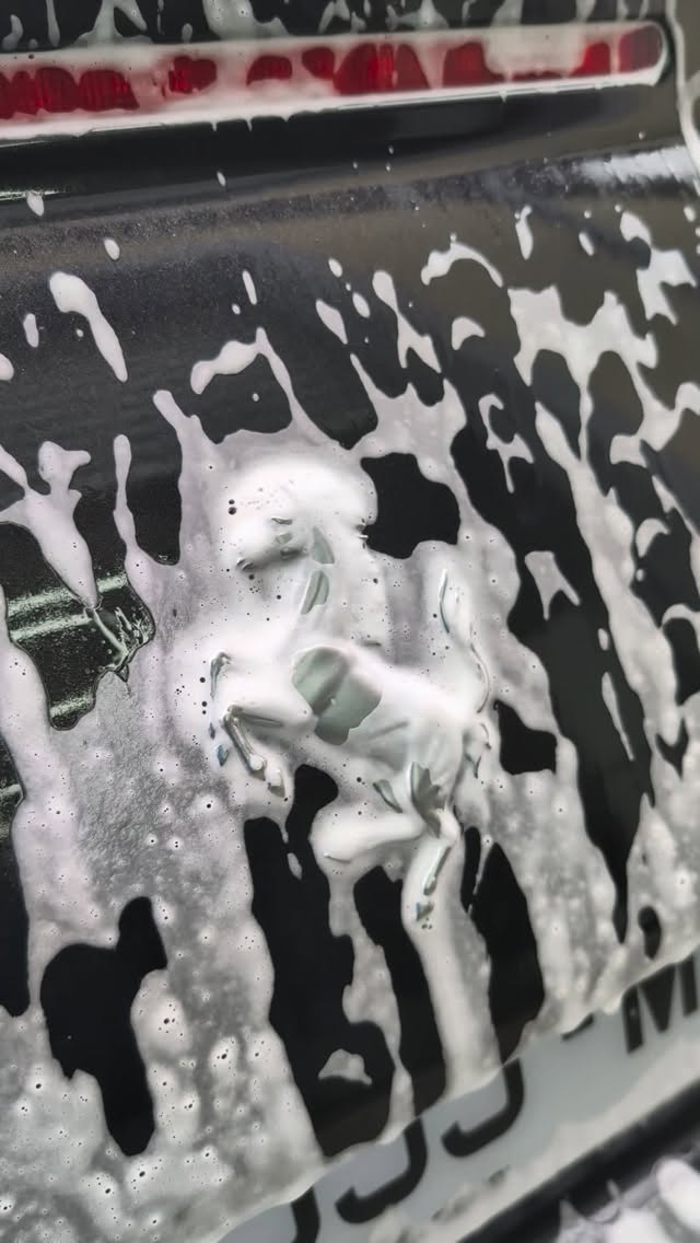 Le Traitement céramique c'est quoi ? 💎
- Une protection durable ( Jusqu'à 5 ans)
- Une brillance et une profondeur exceptionnelle
- Facilité d'entretien
- Reste longtemps propre ( Effet autonettoyant )
- Résistant aux acides et basique
- Rigidifie le vernis
Chez DIPCOLOR c'est pas seulement une protection mais tout le service de préparation qui est fait dans les règles de l'art. Le Polissage poussé dans les moindres détails, de façon intelligente sans aller jusqu'aux limites du vernis.
15 ans d'expérience en Detailing automobile.
Les conseils d'entretien pour préserver votre investissement.
Devis gratuit sur info.dipcolor@gmail.com ou via le 0782560260 et sur WhatsApp.
3 rue joseph Pontier 31470 Fonsorbes
Facilités de paiement en 4x sans frais via PayPal.
www.dipcolor.fr
#detailing #toulouse #polissage #avantapres #ferrari