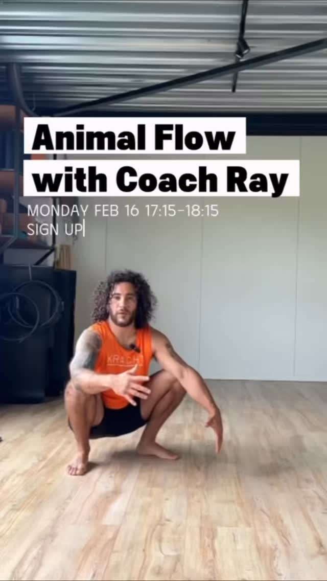 Strength meets flow 🐆
On Monday, February 16 from 17:15–18:15, join Ray for a dynamic, ground-based training experience focused on mobility, coordination, and full-body control.
Expect:
• Joint-friendly strength work
• Controlled transitions
• Mobility that carries over to lifting
• A serious sweat
This workshop is designed as an accessible introduction — clear, progressive, and challenging.
Move differently. Build control. Improve your range.
Sign up via SportBit.
#krachtamsterdam #animalflow #movebetter #mobilitytraining #traindifferent