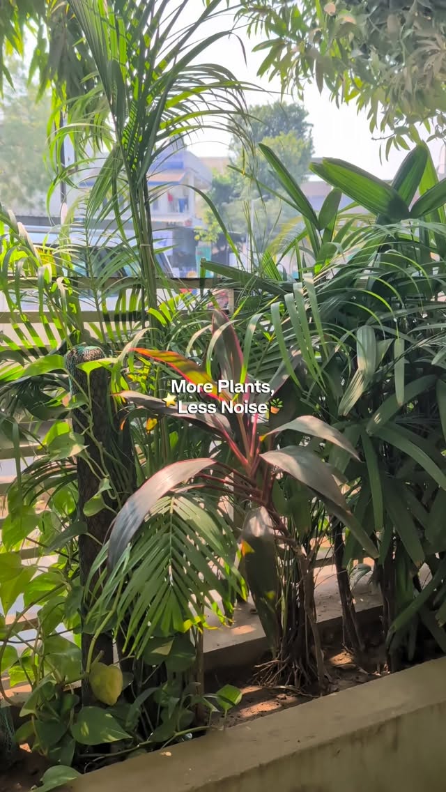 Bring your favourite people, we’ll bring the calm! 🍃✨💛
.
.
.
#cplnaranpura #plantmakepeoplehappy #crazyplantladycafe #plantsplantsplants