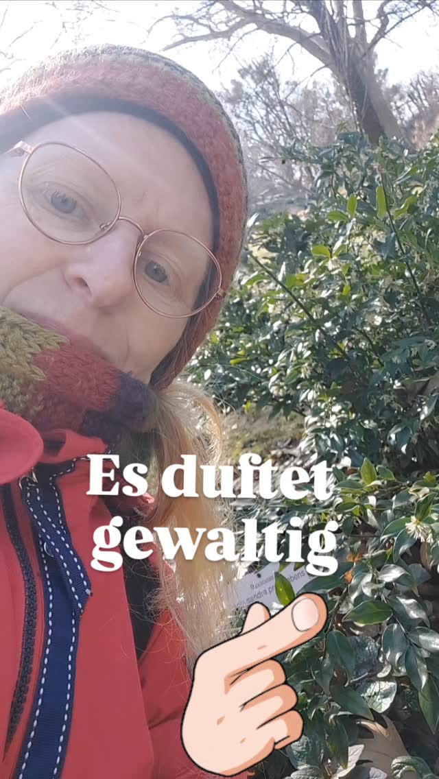 Einige Winterblüher duften jetzt gewaltig!
Es ist so wunderbar, die Luft noch kalt, die Sonne kommt raus... es soll doch endlich Frühling werden.... und dann dieser Duft. 🥰
Das gibt Hoffnung!
Hier der Süßbuchs!
Mehr zu winterblühenden Sträuchern In meinem Blog: Link in der Bio!☝🏻
Kennst du den Süßbuchs und seinen Duft?
💮💮💮
Hier der Link für Facebook:
https://www.verenaschoenauer.at/post/winterbl%C3%BCher-f%C3%BCr-den-garten
💮💮💮
#duftendesträucher #winterblüher #verenas_pflanzentanz #gartengenuss #wienergärten