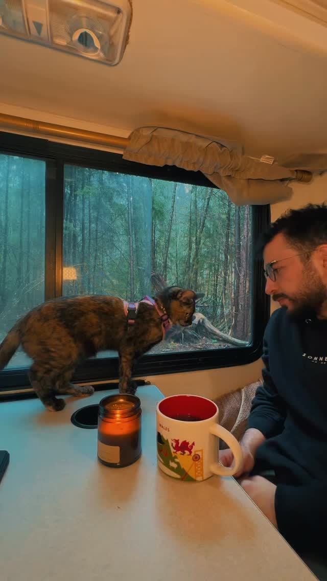 Olympic national park washingtonda ikinci gunumuz. Forks hohrainforesta gittik güzel bir hiking yaptık.
#alitodayactivity #travel #roadtrip #washington