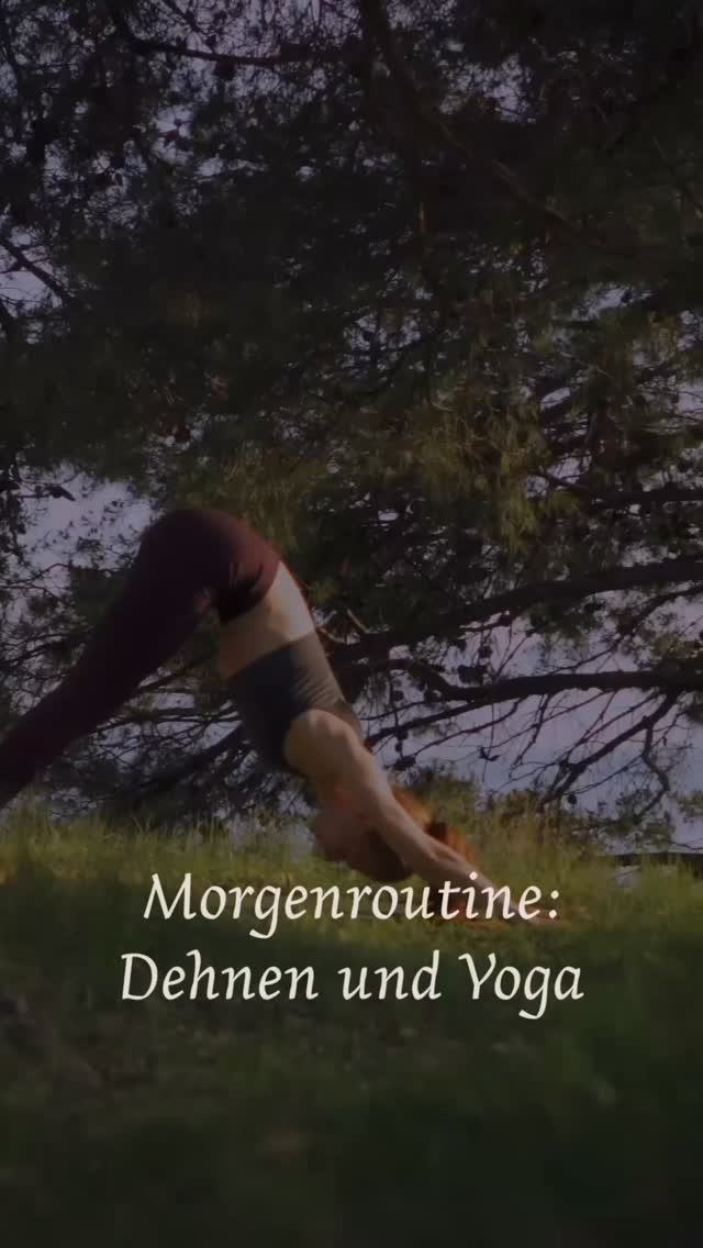 Sanftes Yoga & bewusstes Dehnen am Morgen können deinen Fastenprozess gezielt unterstützen:
• Stoffwechsel-Boost 🔄🔥
Drehungen auf nüchternen Magen aktivieren die Verdauung und bringen dein System in Schwung.
• Mehr Energie & Fokus ⚡🧠
Bewegung mobilisiert, schenkt Klarheit und wirkt der typischen Fastenmüdigkeit entgegen.
• Unterstützung der Entgiftung 🌿💧
Sanfte Flows fördern körpereigene Reinigungsprozesse wie die Autophagie.
• Weniger Stress 🫶🕊️
Achtsame Bewegung beruhigt das Nervensystem – besonders wertvoll, wenn Reizbarkeit aufkommt.
• Schutz vor Muskelabbau 💪
Regelmäßige, leichte Aktivierung hilft, Muskulatur auch in längeren Fastenphasen zu erhalten.
• Mehr Beweglichkeit 🤸♀️✨
Morgendliche Steifheit löst sich, Verspannungen dürfen gehen.
Fasten + Bewegung = bewusste Regeneration auf allen Ebenen. 🌞
#fastenzeit #heilfasten #yoga #dehnen #achtsamkeit