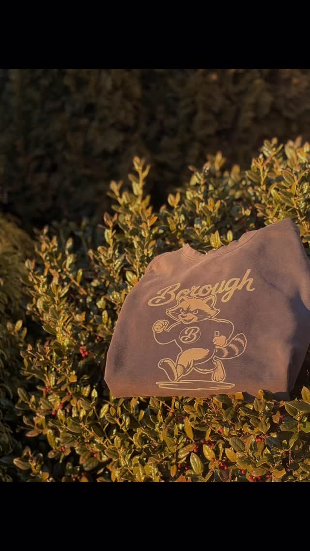 Rad the Raccoon is coming in hot to Jonesborough. Need shirts made? We got you. Want to wear our dope merch? We also got you. #boroughstandard #screenprinting #jonesboroughtn #SmallBusiness