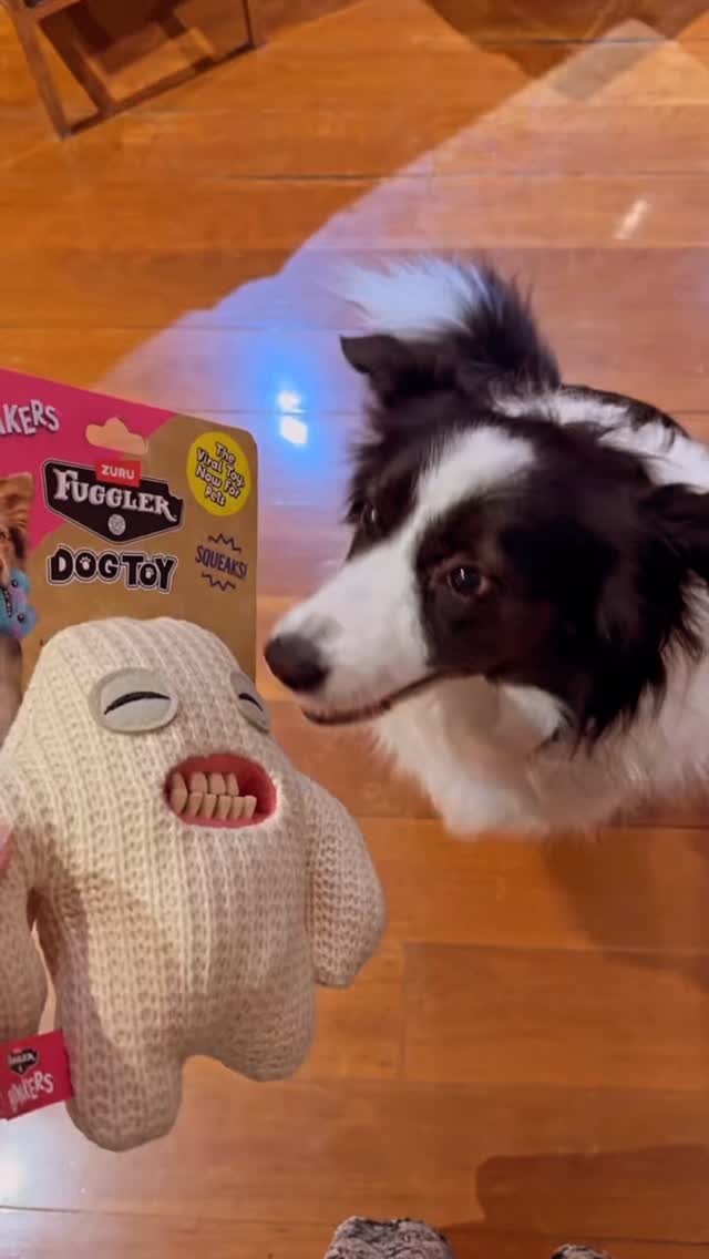 Full Kmart What's New In Home - Up Now
https://youtu.be/asPSNgAe9Bs
#kmart #kmartaustralia #zestygirl