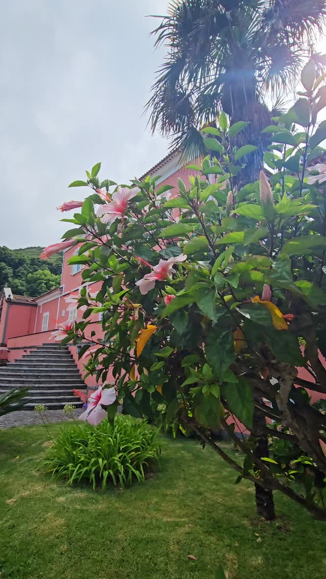 The Main House, ready for private winter stays.
#Azores #AzoresIslands #VisitAzores #PrivateVilla