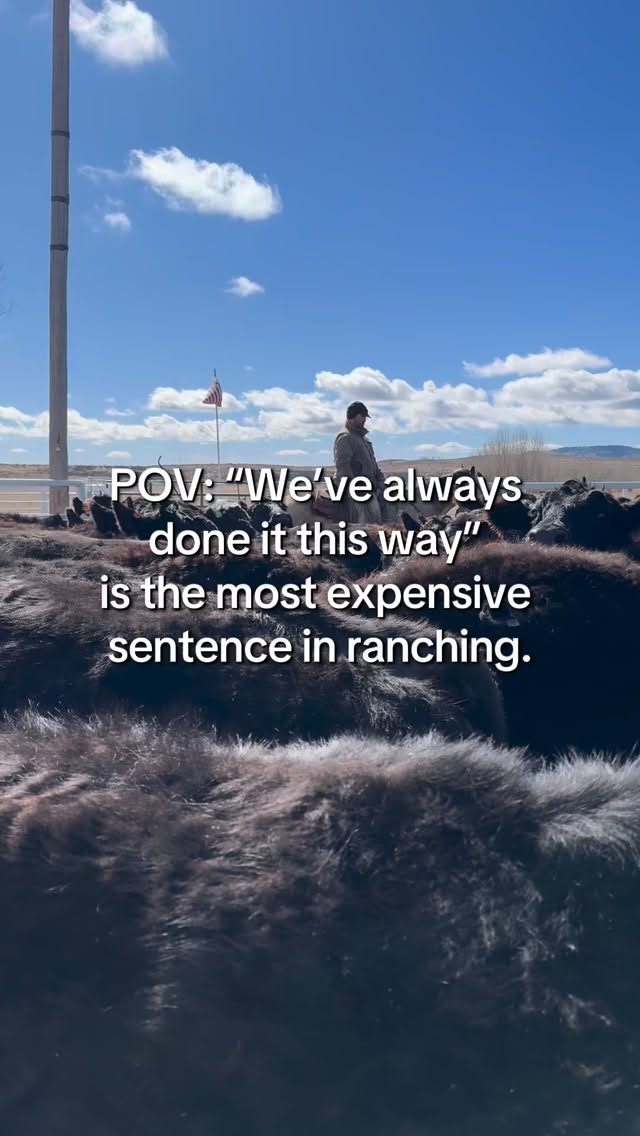 Tradition preserves values. Strategy preserves margin you need both, but don’t confuse them. #ranchingfyi #ranchlife #ranch365 #workingranch #cowboylife
