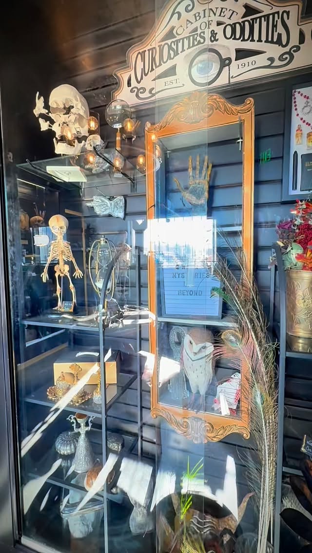 Happy Superb Owl party weekend!
#superbowl #superbowlcommercials #oddities #shopsmall #abqtodo