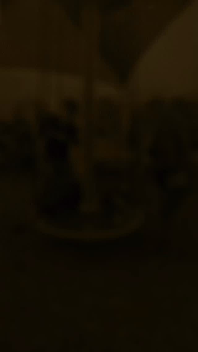 Had a little fun with Kevin & Misfit at the park today! Kevin is adoptable through @heartsaliveanimalrescue đ
#abetterpetdogtraining #heartsalive #dogsoflasvegas #dogreels #dogsatthepark