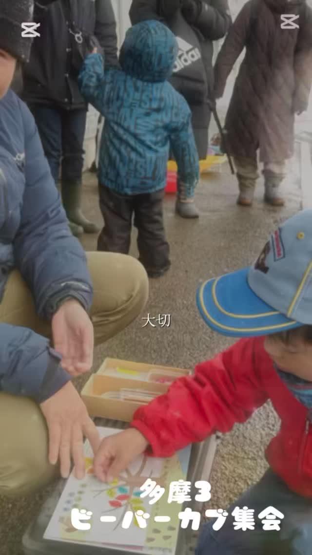 隊集会は東京でも雪になったので雪遊びとなりました
カブは月の輪集会でした