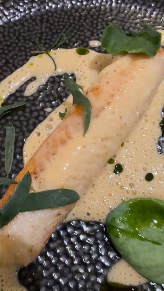 Check out 👀 some of our fine dining dishes from this winter @luxuryprivatechef 🔪…
💫Bespoke menus tailored to your requirements.
💫Organic & high quality seasonal produce used.
💫Attentive service and eye for detail.
www.luxuryprivatechef.com
hello@luxuryprivatechef.com
+447898209846
(available on WhatsApp)
#luxuryprivatechef #privatechef #privatedining #luxury #finedining