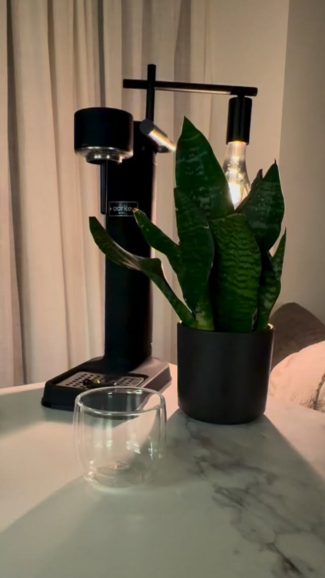 Starting to feel under the weather with so many around me getting the flu, so I do what I can to support my immune system.
Simple things done daily can already make a big difference.
Why hot water with lemon & propolis?
💦 warm fluid hydrates mucous membranes & thins mucus → easier clearance
🔥 heat increases local circulation in throat & sinuses → immune cells reach tissue faster
🍋 organic lemon juice & skin provides vitamin C & mild acidity → supports immune response & saliva flow
🐝 propolis contains antimicrobial polyphenols → inhibits viral & bacterial activity
💧 hydration supports lymphatic flow & toxin clearance
@physalishealth has propolis drops that I love to use - they are certified organic, natural, effective & easy to use. They are often known as nature’ antibiotic.
Propolis literally means ‘defence of the city’, not only protecting the structural integrity of the bee hives, but also containing bio actie compounds with potent health benefits for us - defending our very own home, our body ✨
.
.
.
.
.
#ImmunityDrink #LemonWater #Propolis