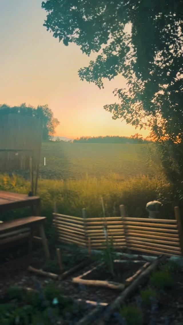Tag someone who needs this 🤍
West of Sweden
#remjengretreat #glampingsverige #värmester #visiteda #livetpålandet