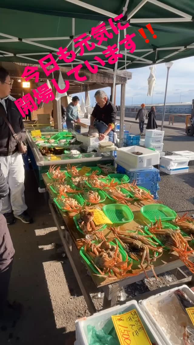2026年2月8日(日)の朝も元気に開場しています。場内を歩いて撮影してみました。
#yuriage #ゆりあげ港朝市 #名取市観光 #名取市旅遊 #東北観光
