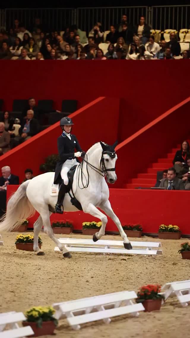 @matildaschmecheldressage con nuestros breeches blancos, lista para conquistar la pista. ✨
@matildaschmecheldressage, in our signature white breeches, ready to own the arena. ✨
📸 @ambracero @twohearts_portrait
#equestrian #dressage #ridingoutfit #equestrianfashion #rider