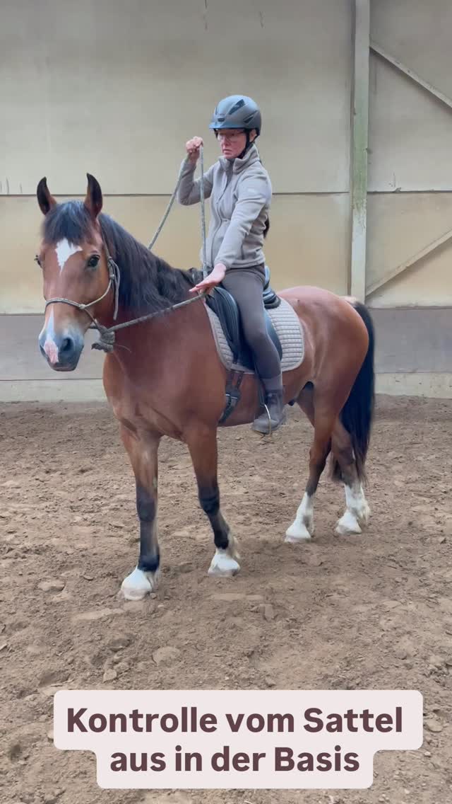 “STOPP‼️
Das musst du VOR dem Losreiten checken”
“Du steigst aufs Pferd und reitest einfach los?
Das ist der größte Fehler, den du machen kannst.”
„Bevor ich auch nur einen Schritt reite, checke ich diese Basis:
✅Seitliche Biegung – gibt mein Pferd leicht und nachgiebig nach?
Oder kämpfe ich schon hier gegen Widerstand?
✅Hinterhandkontrolle – reagiert die Hinterhand sofort auf meine Einwirkung? Oder ignoriert sie mich komplett?
✅Vorhandkontrolle – gehen die Schultern dahin, wo ich sie haben will? Oder machen sie ihr eigenes Ding?
Das ist nicht irgendein nettes Extra.
Das ist deine LEBENSVERSICHERUNG!
Ohne diese Grundkontrolle bist du nur Passagier auf einem 500-Kilo-Tier.
Mit dieser Basis kontrollierst du jede Situation.
Niemals einfach losreiten – immer erst die Basics checken‼️
“Du willst lernen, wie du diese lebenswichtigen Basics systematisch aufbaust?
Mehr Informationen dazu findest du in meiner Bio – dort zeige ich dir, was VOR dem Reiten wirklich wichtig ist.”
deine Anja❤️