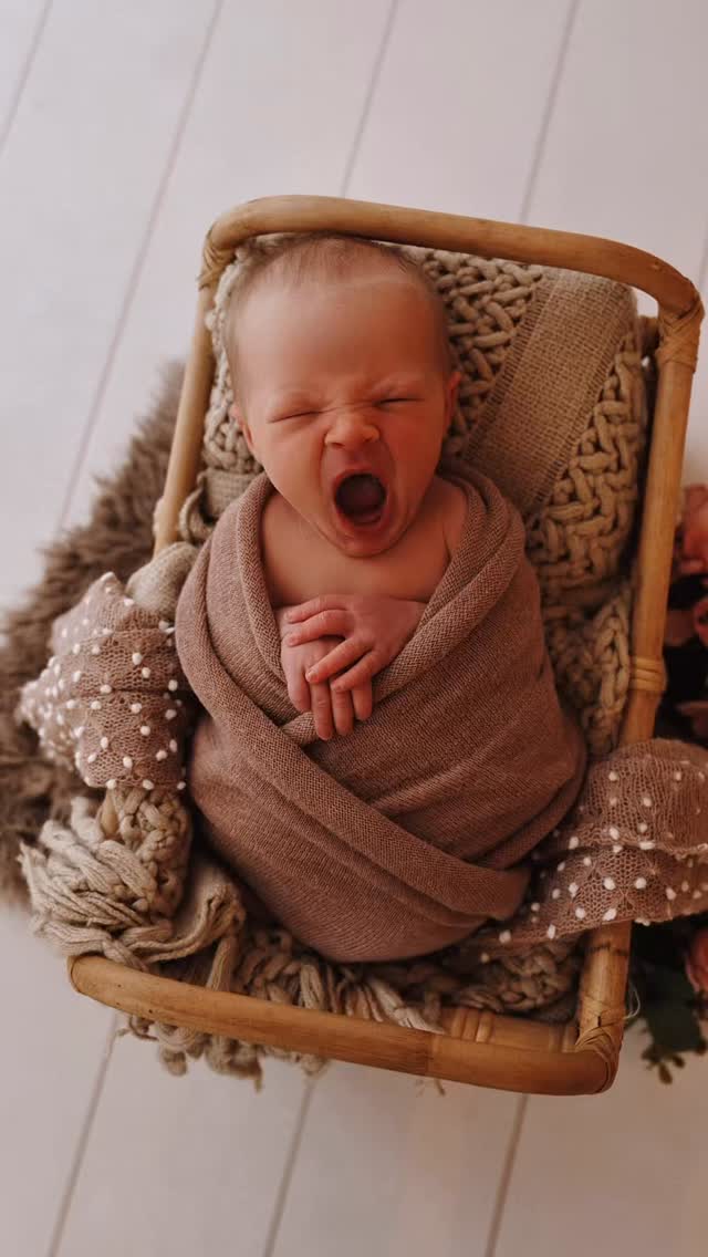 Du glaubst, du erinnerst dich an diese Zeit.
An die winzigen Hände.
Den Geruch.
Dieses ganz besondere Gewicht auf deiner Brust.
Aber die Wahrheit ist:
Diese Phase ist leise.
Und sie vergeht schneller, als man denkt.
Newbornfotos sind keine perfekten Bilder.
Sie sind Anker.
Für später.
Für die Tage, an denen du dich erinnern möchtest,
wie es sich wirklich angefühlt hat.
💌Schreib mir gern ganz unverbindlich, wenn du dir solche Erinnerungen wünschst.
#newbornfotografie #familienfotografie #babyzeit
NEWBORN ERINNERUNGEN NEWBORNFOTOS