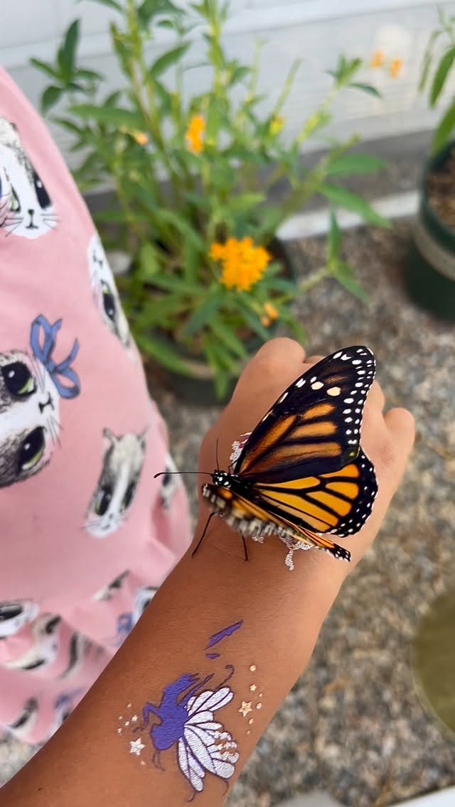 Today we celebrate Western Monarch Day 🦋✨
A reminder of how fragile, resilient, and absolutely magical these butterflies are—and why protecting their habitats matters more than ever. Every garden planted, every child taught, every caterpillar cared for makes a difference.
At Blackborg, we’re raising the next generation of butterfly guardians—one tiny caterpillar at a time 💛
#WesternMonarchDay #MonarchButterfly #SaveTheMonarchs #PollinatorProtection #ButterflyEducation