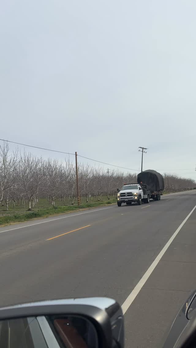 Another truckload of trees hits the road! This one is heading for Tiburon, CA.
Field-Dug Fruiting and Fruitless Olive Trees available for delivery anywhere in California: www.terratrees.com
#landscapecontractors
#architects
#landscapearchitects
#generalcontractors
#gardendesign
#napavalleygardens
#nurseries
#treesales
#mediterraneangardens
#olivetrees
#landscape
#winecountrygardens
#field-dug-trees
#fruitlessolives
#ASLA