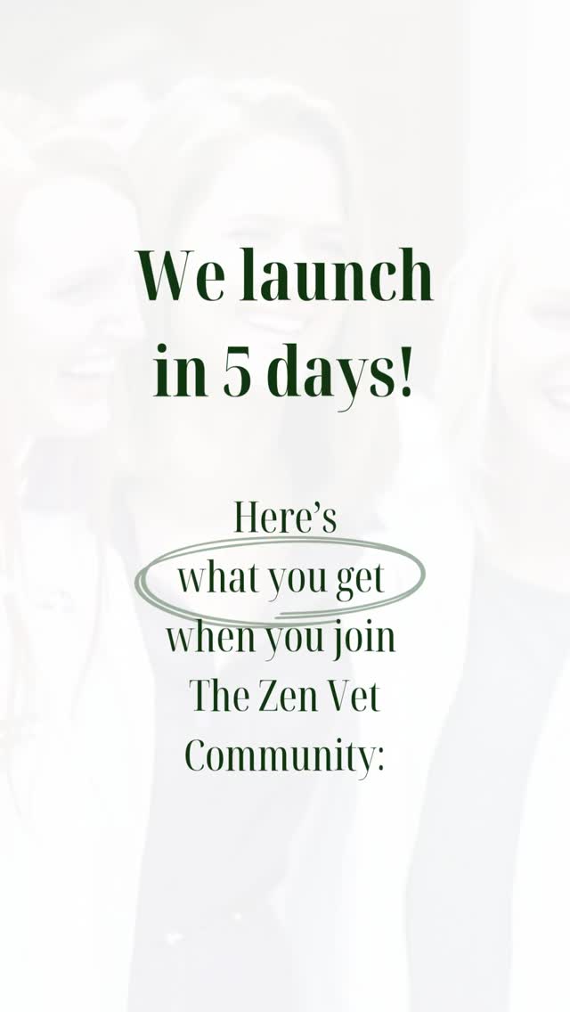 I’m inviting you to join The Zen Vet Community!
- pre vets
- vet students
- residents or interns
- early career vets
- seasoned vets
- clinic management
- clinic leadership
- LVTs
- Vet techs
You’re invited!
DM me ‘mental fitness’ to learn more!
#veterinarymedicine #veterinarymindset