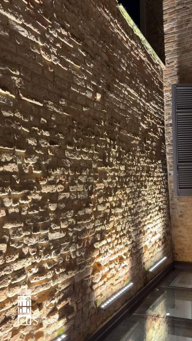 ✨🌙
@fabriziovonarx
#CasaStradivari #Cremona #FabriziovonArx #ViolinMaking