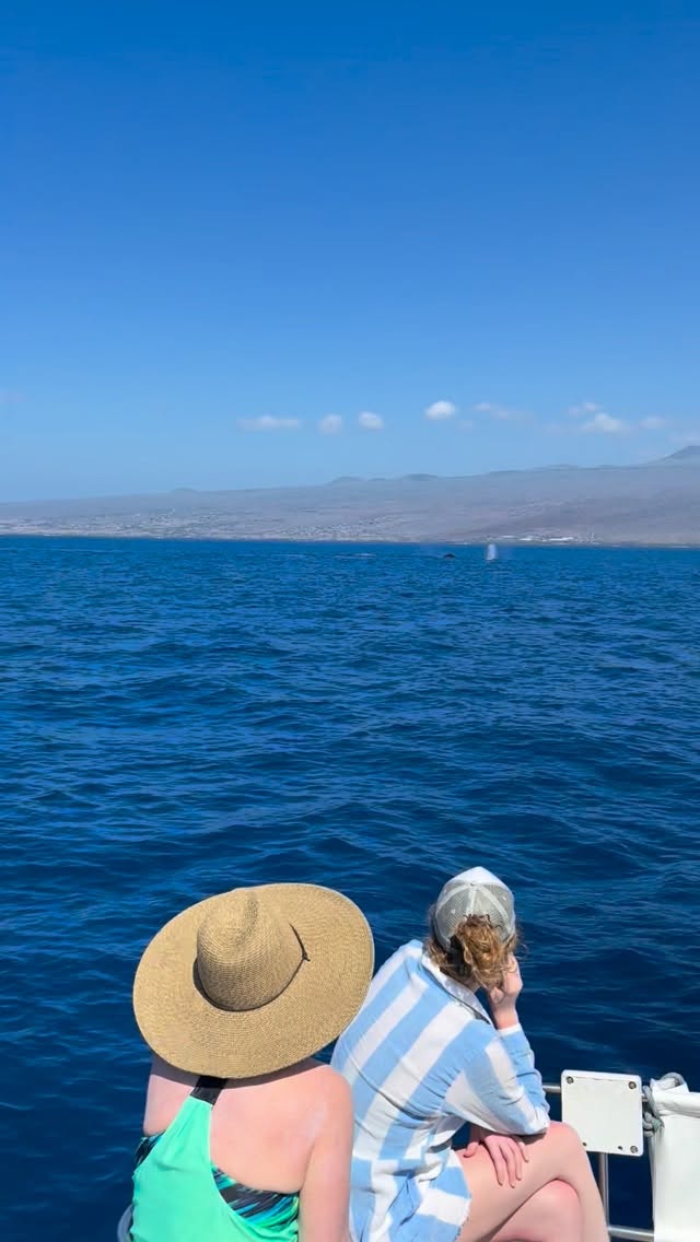 There’s something about watching the humpbacks. Time slows down, and you can feel the magic of these beautiful creatures!
There is still time to catch them while they are there! Come experience these beautiful whales before they head back north for the summer.
📞(352) SAIL PUA (724-5782)
