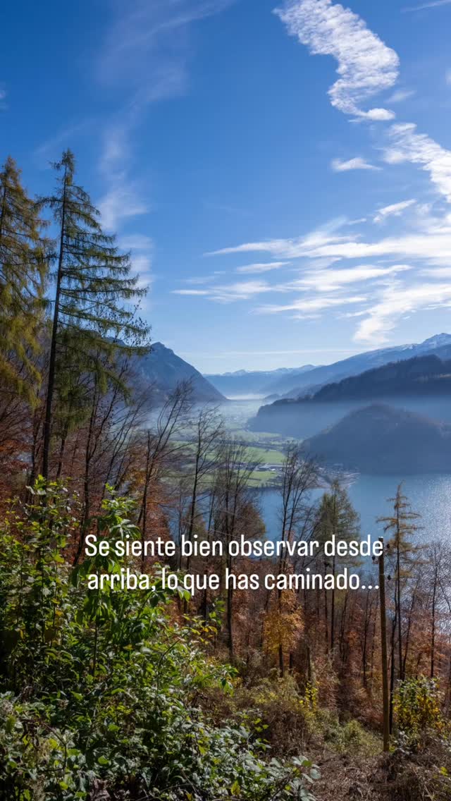 Lo más bello del proceso está arriba. Desde ahí podemos visualizar cuanto hemos caminado. Podemos ver los matices del paisaje y también observar, cuántas montañas nos faltan por recorrer....
#losprocesos
#montañassuizas
Foto📸: @mischa.meier