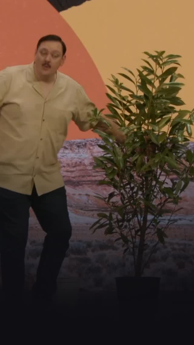 You’ve been replanted.