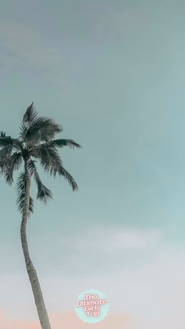 This isn’t a JUST a girls trip…
It’s remembering who you are when life and business feel heavy.
Meet your new business besties
Laugh until you cry
Mastermind in the Arizona sunshine
Leave with a clear plan and the right connections to make more money and have all the fun along the way
Ultimate Girls Trip - Join The Waitlist to get your invite
Link in bio
#proofitspossiblepodcast #ultimategirlstrip #jamiefrancis #daylesheehanbritton