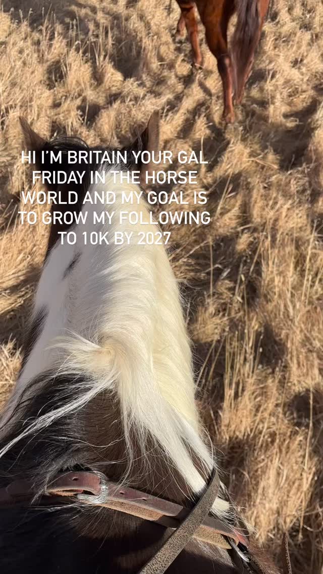 I’m a bit of a jack of all trades when it comes to the horse world and am trying to grow my business and post more frequently. If you are interested in:
-Horses
- Horse health
- Western industry (fashion, rodeo, horsemanship and photography)
- Education
…I’m the gal for you!!