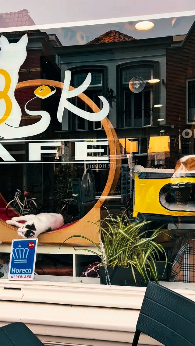 Onze katten nemen hun werk als smaakjury heel serieus.
Renske is officieel goedgekeurd en eerlijk gezegd eisen ze nu meer proefmomenten.
Wil je dit zelf zien? Kom langs in het café of koop Renske voor je eigen kat.
#kattencafe #kattenliefde #renske #cats #fypnl