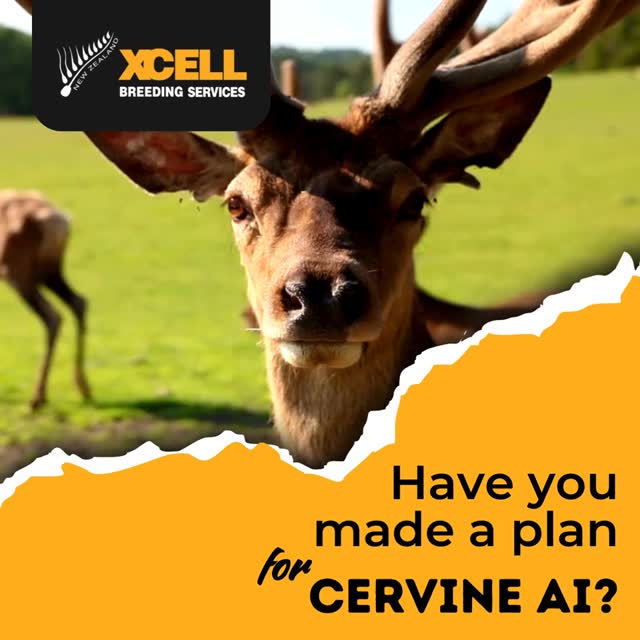 Have you made a plan for cervine AI? The season always comes around fast! We have put together a checklist of things for you to consider. We look forward to helping you with your cervine AI programme and the team at Xcell are here to answer any questions you may have or to receive a copy of your latest storage reporting.
π¦ Use minerals
π¦ Lock in pre rut collections
π¦ Confirm AI date
π¦ Send sire list
π¦ Have a plan for postmortem recovery
π¦ Sort post rut collections