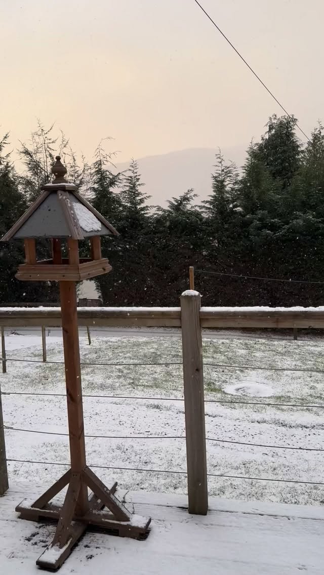 Let it snow ❄️
#getoutside #winter #scotland #cairngorms