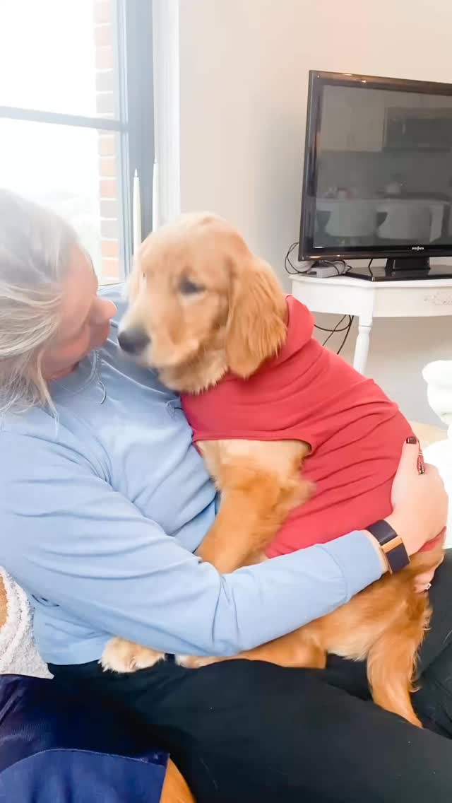 The Zen Vet Community will fill that gap.
Vet school prepares us to save lives,
but never how to carry the weight of saving lives.
That’s where mental fitness changed everything for my career.
So here’s how I’d love to support your vet career:
- mental fitness trainings
- designed by a vet for vets
- easy access on the go
- on your own time
- to elevate your mindset
- to carry the weight of your calling
- and help you thrive instead of survive
DM me “mindset”
and I’ll send you more info!