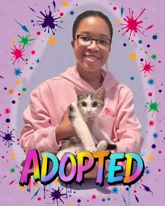 ✨ LUCKY – ADOPTED: Part 1 ✨
He was found alone near a Turnpike exit…
Abandoned. Vulnerable.
When we called him, he ran straight to us. Like he knew this was his second chance. 🐾
Now? He’s safe in the loving arms of Kayleisha — an artist at heart with a beautiful soul. 🎨💜
From highway to home… but this is only the beginning.
👇 Comment “PART 2” to hear the rest of Lucky’s rescue story.
#AdoptDontShop #RescueStory #GiveHopeCatRescue #BringingHopeToEveryPaw