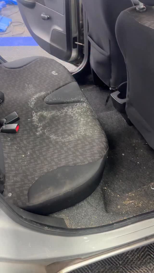 Full deep clean on this Nissan
#detailing #mould #carcleaning