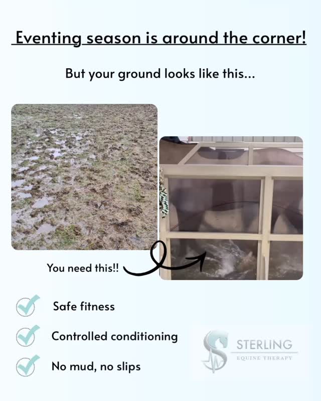 🌧️ Muddy fields slowing down your prep for the season? Don’t let wet ground hold your horse back!
Our Equine Water Treadmill keeps your horse fit, strong, and conditioned—safely and effectively—no matter the weather. 🐎💦
Whether you’d like an intensive resident stay or individual sessions, we’ve got you covered for a winning start to the event season!
📩 Book now and keep your training on track, rain or shine!