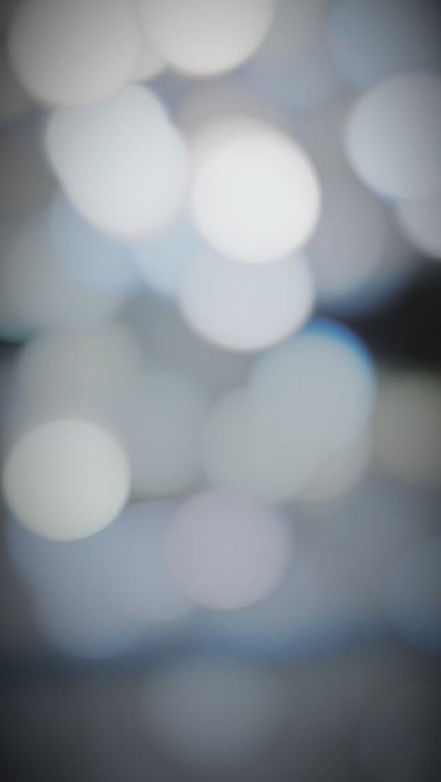 Took the @leekia.greenvillenc @youngboatsusa out for spin today. They were chewing! Booking March and April striper trips don’t miss out ! #inshorefishing #striperfishing #stripers #winterfishing #lighttackle