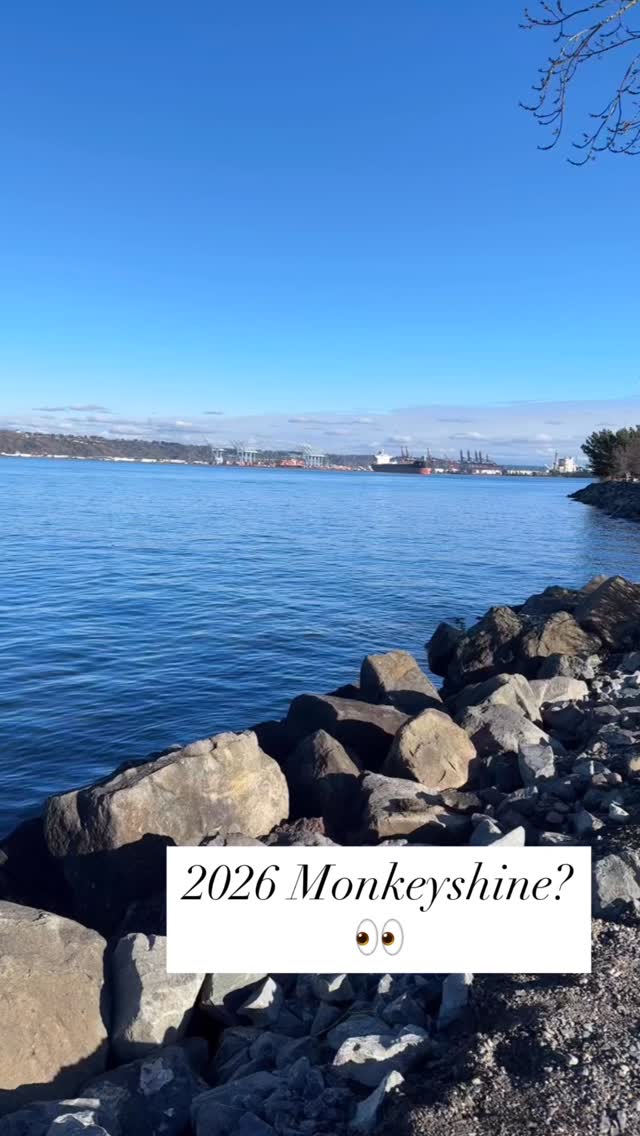 No luck finding glass Tacoma Monkeyshines yesterday but we did find other wonderful shiny blue skies. 💙
Happy Year of the Horse, Everyone. The Lunar New Year starts tomorrow. 🥳