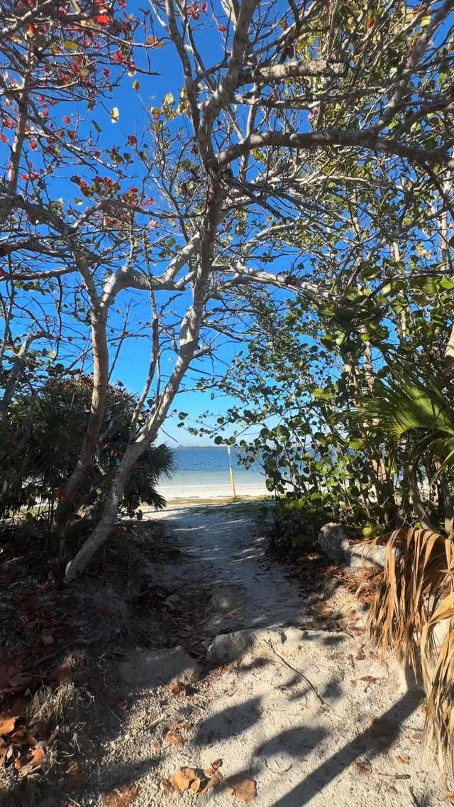 Florida feels 🩵✨
Beach weather coming soon! ☀️
Come visit 👇
@driftwoodcottagepalmharbor
•
•
•
•
#visitflorida #floridalife #travel #floridavacation #beachlife