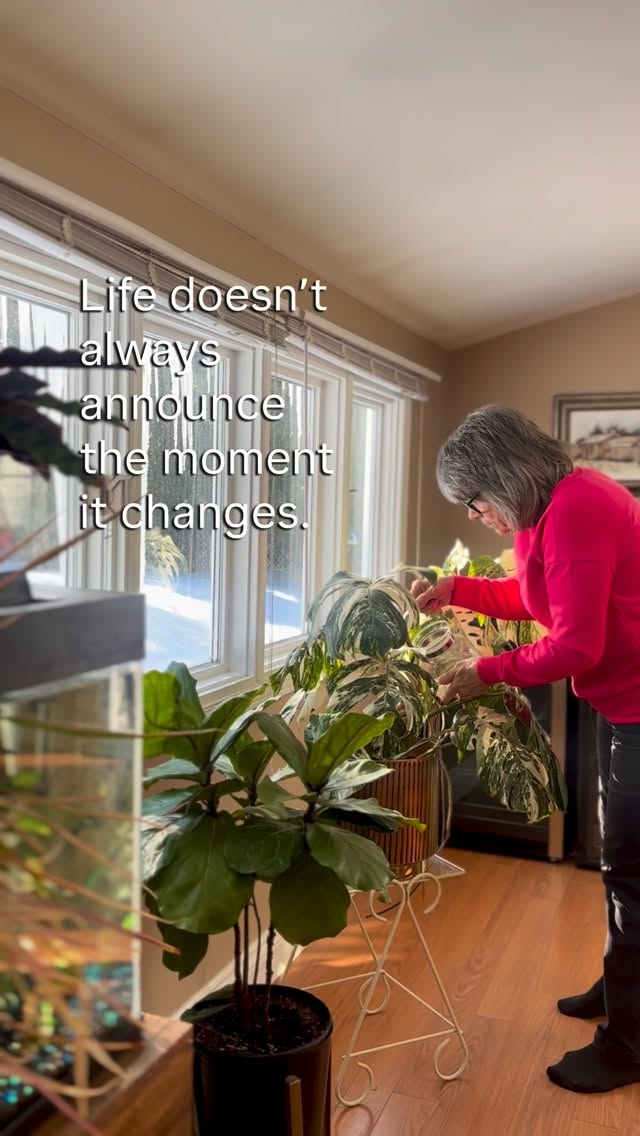 I’ve been thinking a lot about Sliding Doors lately —
that idea that life can turn quietly.
Not with an announcement,
but with an ordinary moment
you only understand later.