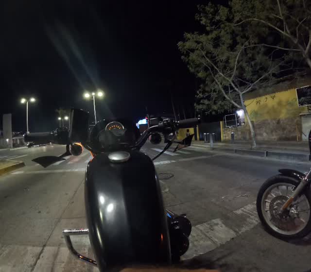Midnight Ritual #slavesoffreedom #puertovallarta #motorcyclerentals #harleydavidsonmotorcycles #harleydavidson