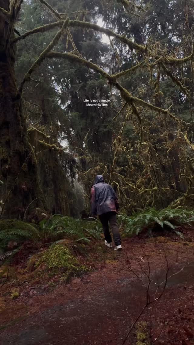 📍Hoh rainforest WA
#hohrainforest #washingonstate #nature #naturelover #rvlifestyle