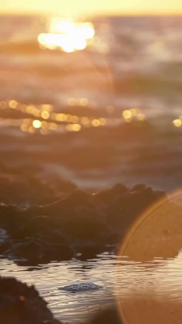 A sneak peek of Free Flow.
Free Flow is an intuitive movement practice centered on posture, awareness, and ease in the body.
Rather than correcting or forcing alignment, we focus on restoring natural movement and listening to what the body needs in real time. 🦩🌊🧩
#urenuffness #freeflowpractice #posturehealth #embodiedmovement #nervoussystemcare #somaticmovement
