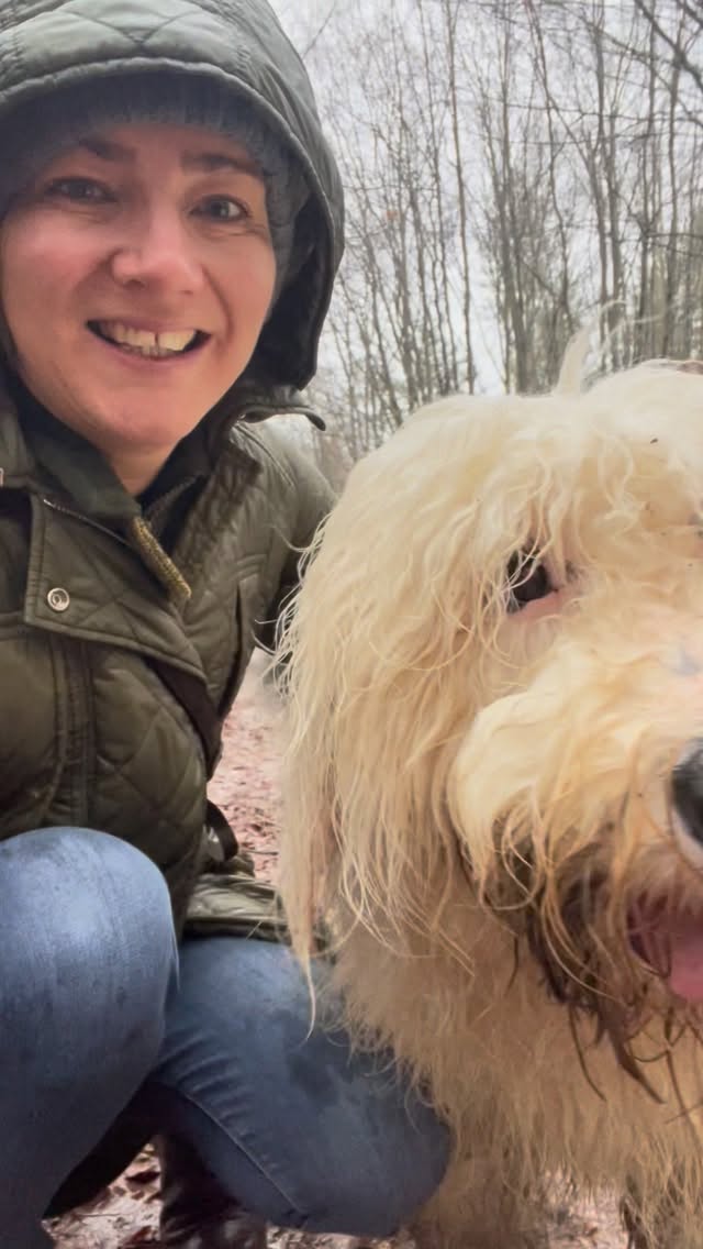 Does anyone know when this rain is going to stop?
#amersham #rain #oldenglishsheepdogs #dogwalk #muddypaws