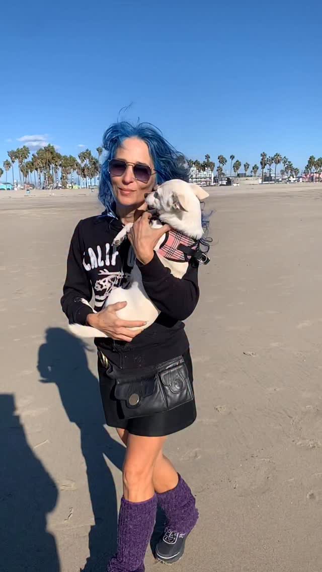 11 years of endless love and happiness with you, my sweet Valentine, Happy Birthday!!! 💘💘💘 forever thanks to @marycatv 💖 #rescuedog #joy #happy #valentinesday #everyday 🐾