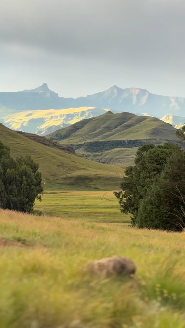 Looking for a true wilderness escape?
Giants Cup Wilderness Reserve offers raw beauty, privacy, and space to truly unwind.
No rush. No noise. Just nature—exactly as it should be.
🌿 Book now and let the mountains do the
#nature #drakensberg #naturelovers #drakensbergmountains #beautifuldestinations