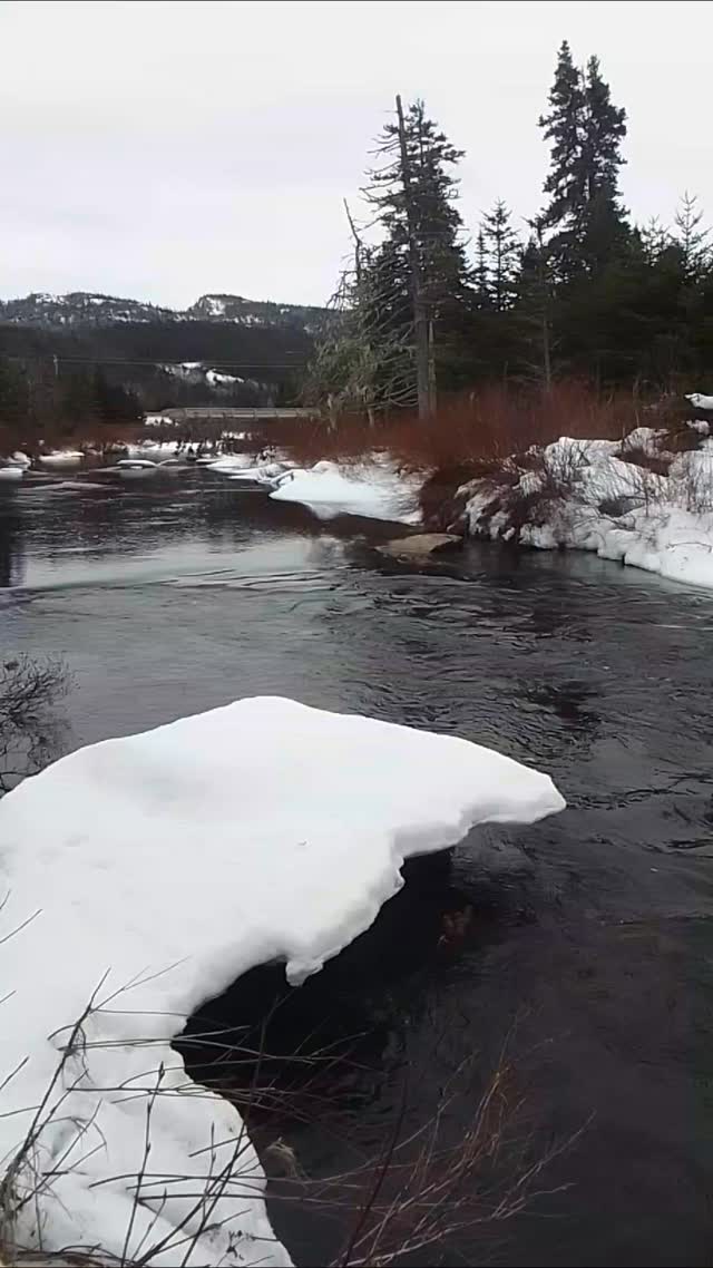 Lots of flow under the snow. ♥️♥️🙏