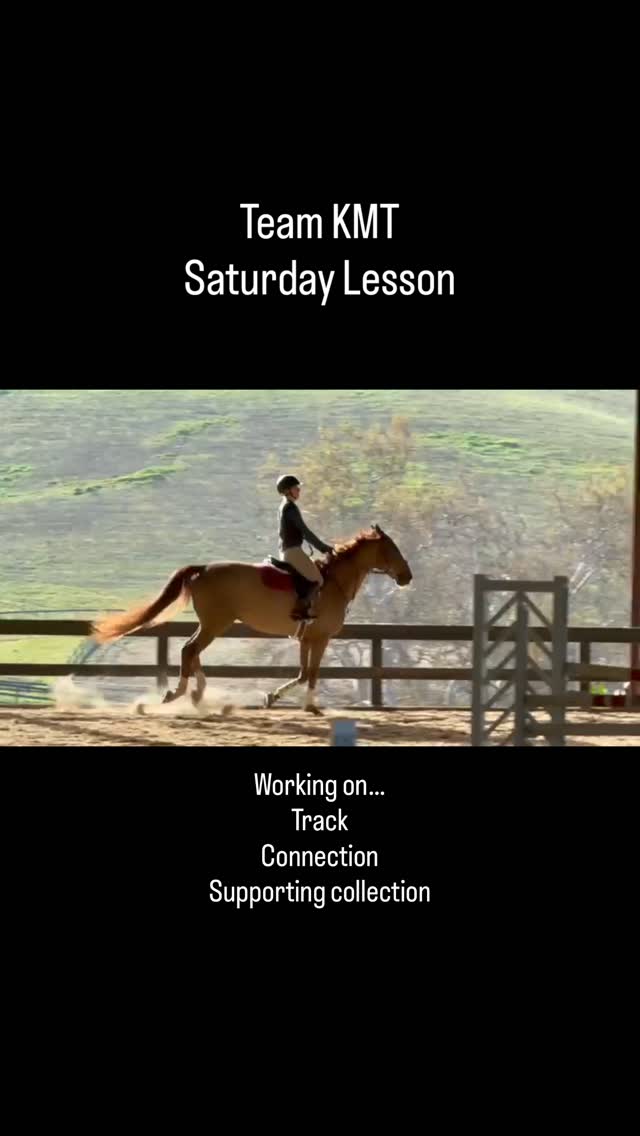Saturday lessons are always fun and full of learning! We had a challenging and fun course today and everybody rode so well! Iām highlighting Jane and King in this video⦠A super ride! #teamkmt #jumpingtothenextlevel #learningisfun #lovethejourney #proudtrainer