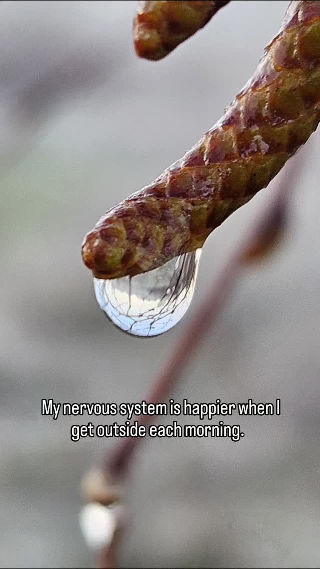 Years ago I found that a morning walk at sunrise just made me happier. The more I did it, the more I realized it set me up for a better day all day long. The science backs it up indicating that it releases seratonin, dopamine and triggers Vitamin D production for brain health. My favorite part is seeing nature - the birds, the trees, the change of the seasons, and the little things that bring joy to my day.
#sunrisewalk #naturebathing #magnusonparkseattle