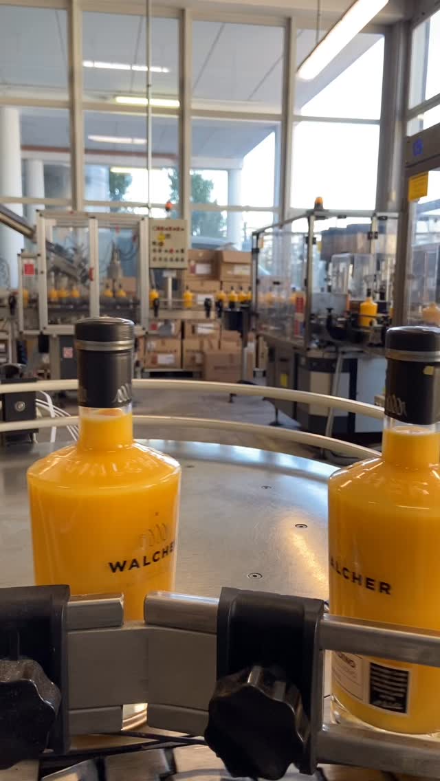 Wist je dat Walcher het volledige productieproces in eigen huis verzorgt? Van de selectie van ingrediënten tot distillatie, botteling en zelfs de ontwikkeling van het label.
Door alles onder één dak te houden, blijft elk detail controleerbaar. Het resultaat is een constante kwaliteit waarin vakmanschap en familiegeschiedenis samenkomen.
Kwaliteit die je proeft, tot op de laatste druppel.
#walcher #behindthedistillery #vakmanschap #italianquality #ambacht